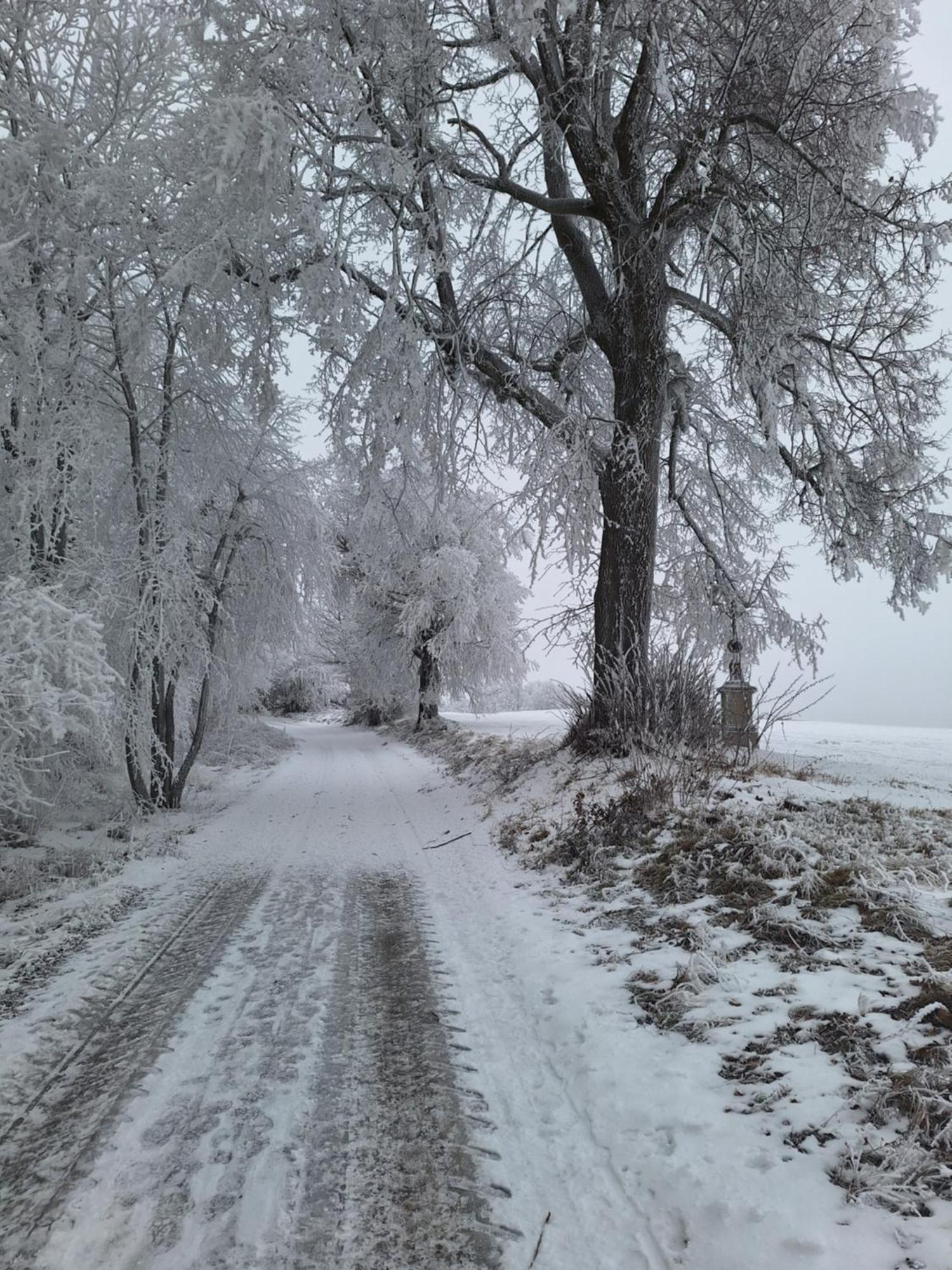 Ubytovani U Krivanku 2 Telč Exteriér fotografie